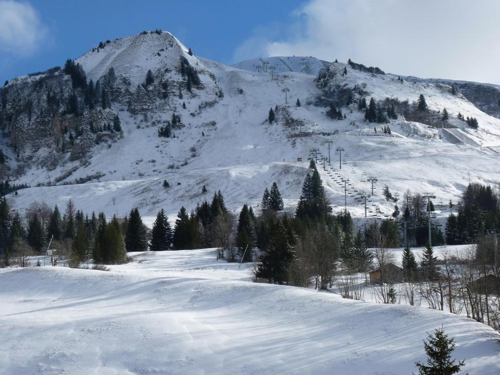 Les Amborzales Apartment Le Grand-Bornand Ngoại thất bức ảnh